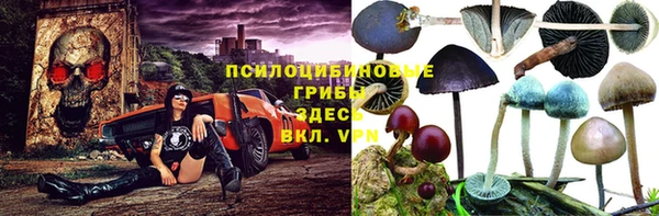 apvp Арсеньев